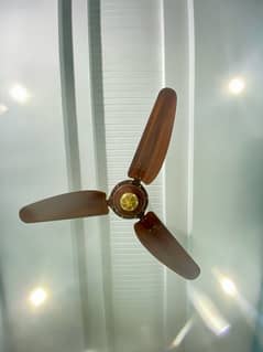 Wooden style fans