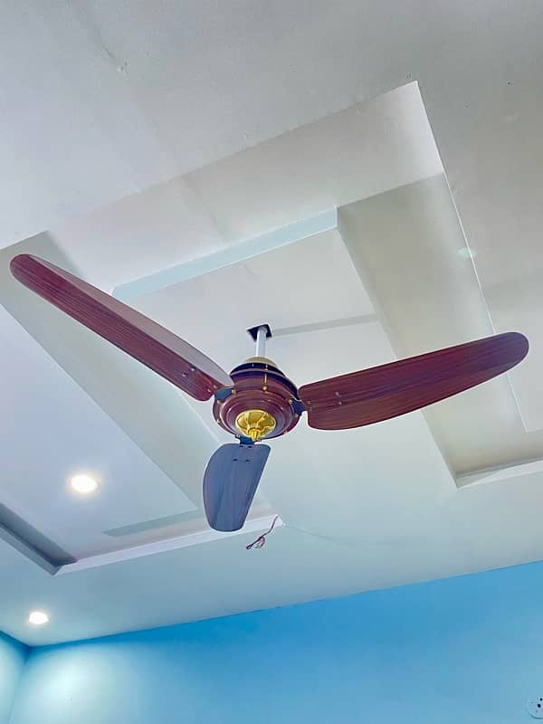 Wooden style fans 15