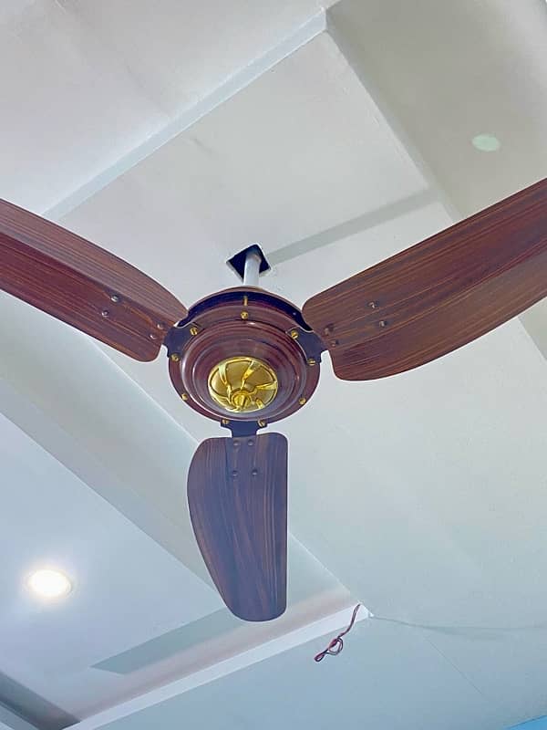 Wooden style fans 16