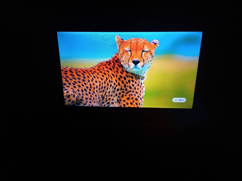 tcl led 55 inch full 4k android 1