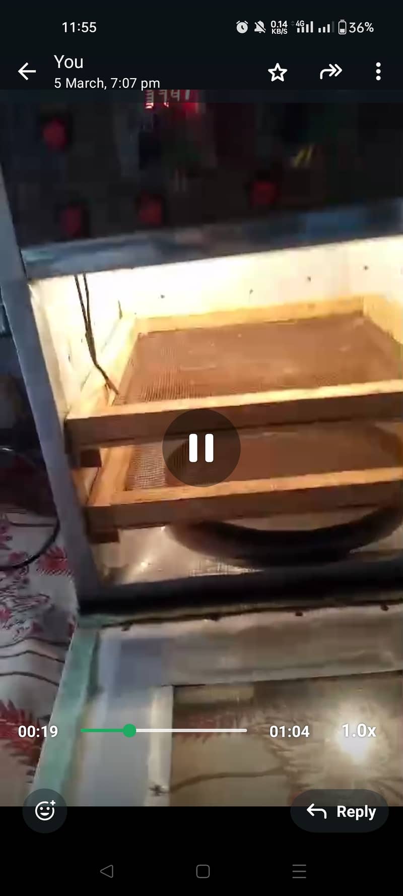 Egg incubator 1