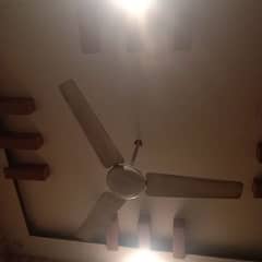 ceiling Fan in a very Good condition