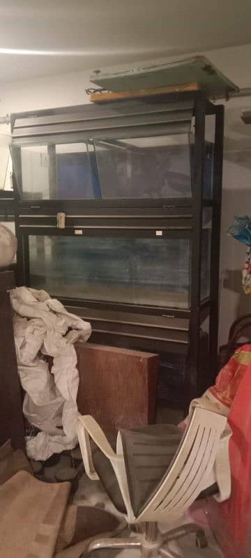 Fish Breeding & Selling Setup for Sale | Multi-Tank Aquarium System 0