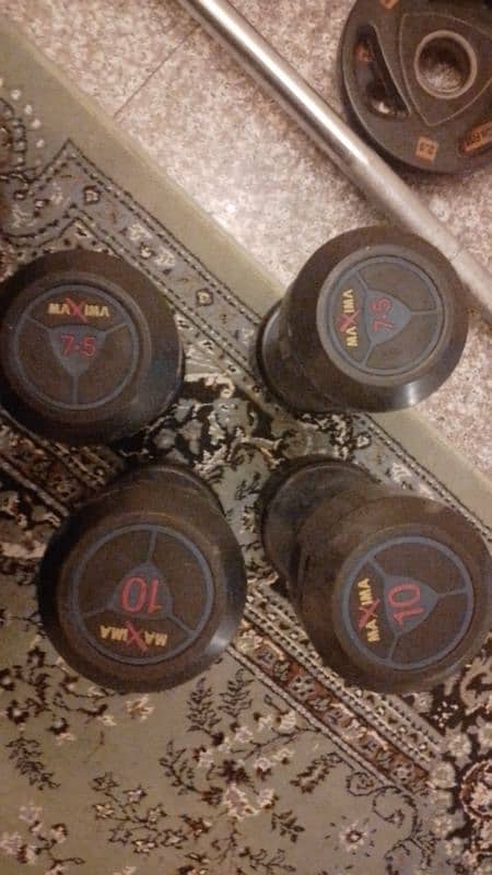 dumbells/barbell/plates 1