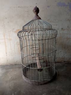 Birds cage