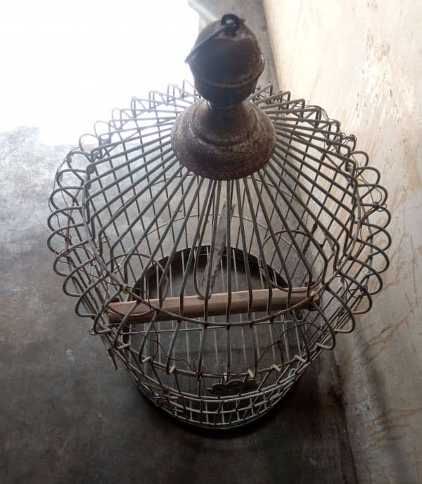 Birds cage 1