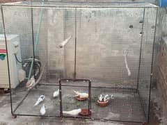 cage for sale