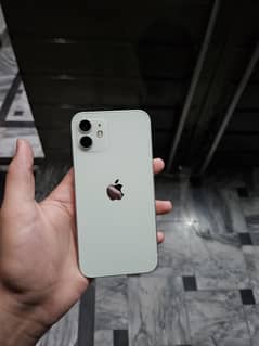 iPhone 12 Green Jv non active