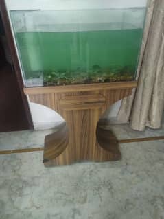 Fish aquarium