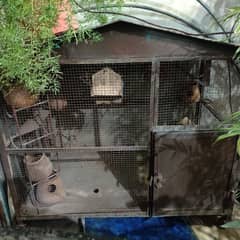 Parrot cage