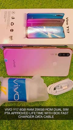 Vivo Y17 Box Pack