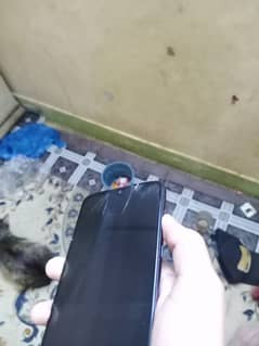 Moto z4 4 gb/128 gb non pta 10/8.5 condition