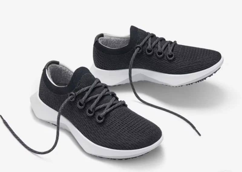 Allbirds Tree & Wool Dasher 0