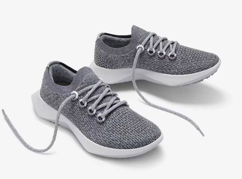 Allbirds Tree & Wool Dasher 2