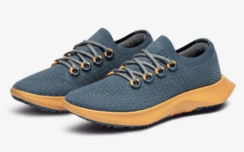 Allbirds Tree & Wool Dasher 3