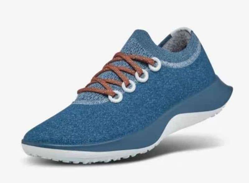 Allbirds Tree & Wool Dasher 5