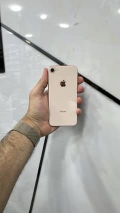 iphone 8 PTA Approved