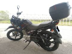 ybr125