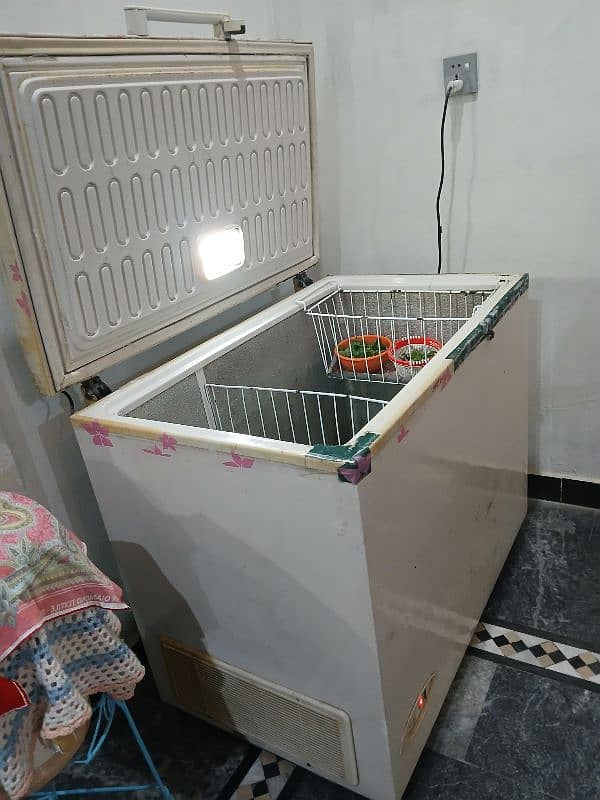 Deep Freezer for Sale 5