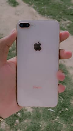 iphone 8plus 256gb pta approved