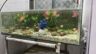 fish aquarium 2.6 fot