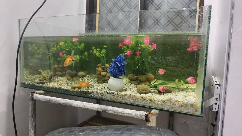 fish aquarium 2.6 fot 2