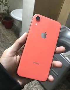 Iphone xr jv 64gb No exchange urgent sale