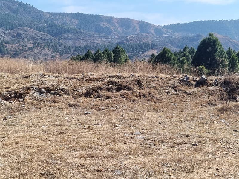 Abbottabad Township Sector C 1 Kanal Plot For Sale 1