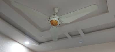 Ceiling fans  bilkull new look     5 pieces