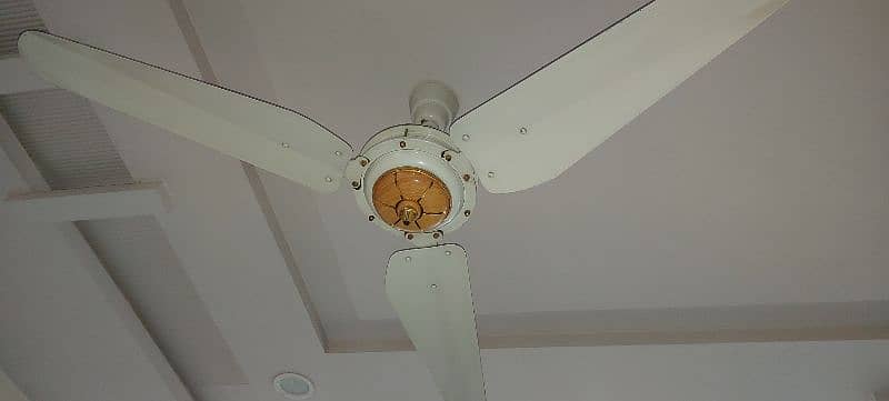 Ceiling fans  bilkull new look     5 pieces 1