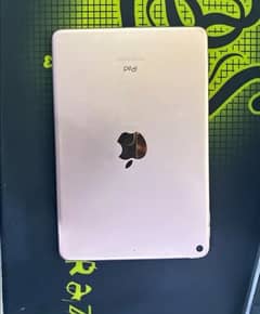 ipad Mini 5 Full Lush camera PUBG Master long Lasting Battery Ok