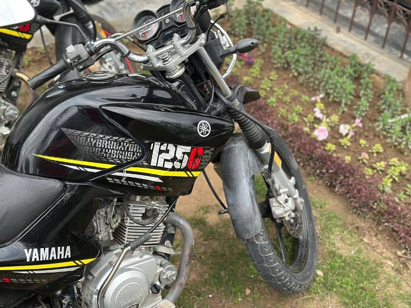 YBR 125G up for sale 1