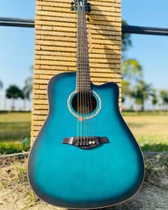 Starway Guitar Model No SDWH-4136 MC ( Original Guitar)