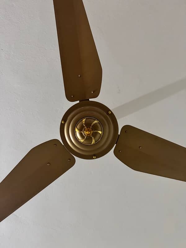 GFC - SUPER ASIA - ROYAL FAN - or Mix fan for Sale 2