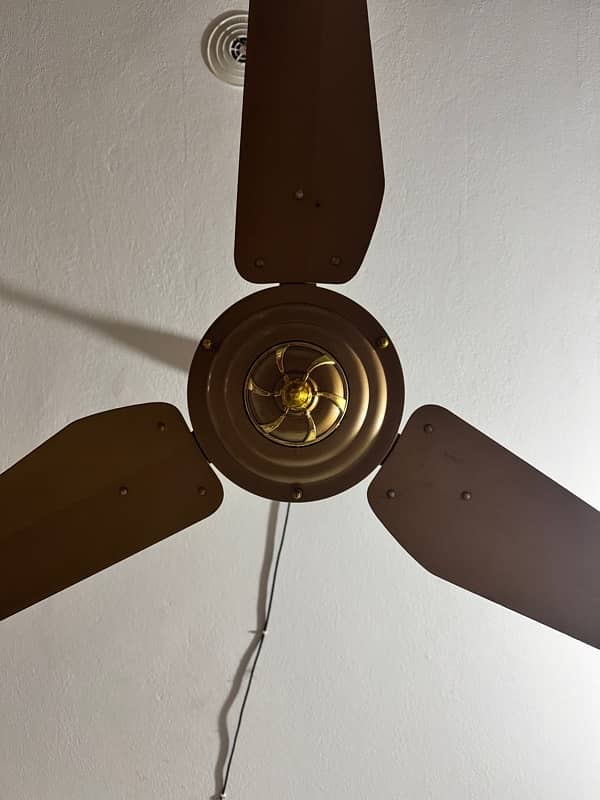 GFC - SUPER ASIA - ROYAL FAN - or Mix fan for Sale 5