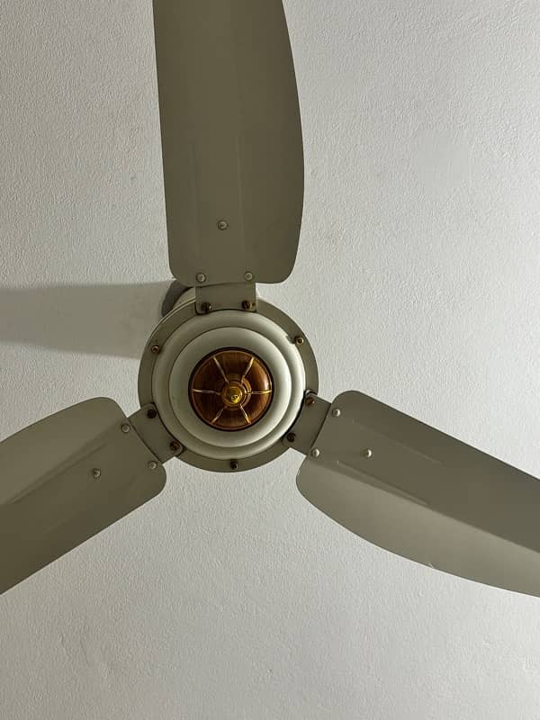 GFC - SUPER ASIA - ROYAL FAN - or Mix fan for Sale 6