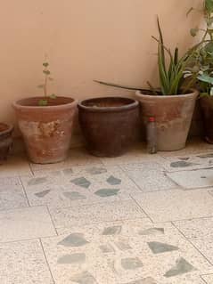 Plant Pots