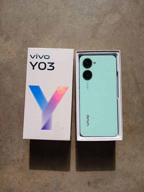 Vivo Y03 1