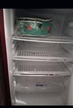 new fridge