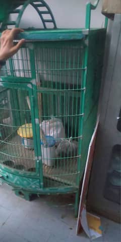 Cage for Macaw and Pahari Cage