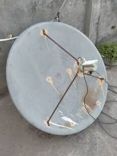 Dish