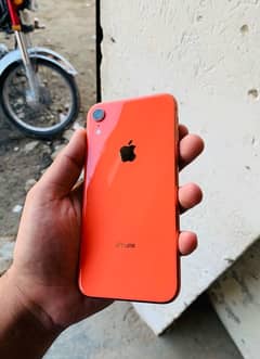 IPHONE XR