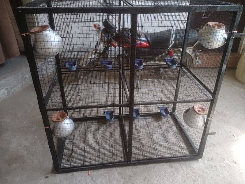 Bird Cage 2