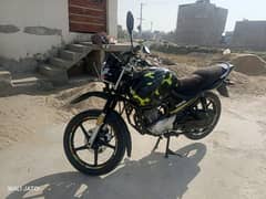 Ybr 125G