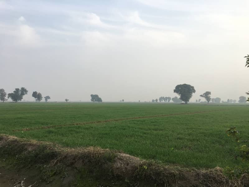 400 Kanal Agricultural Land Available For Sale In Haroonabad Bahawalnagar Road 2