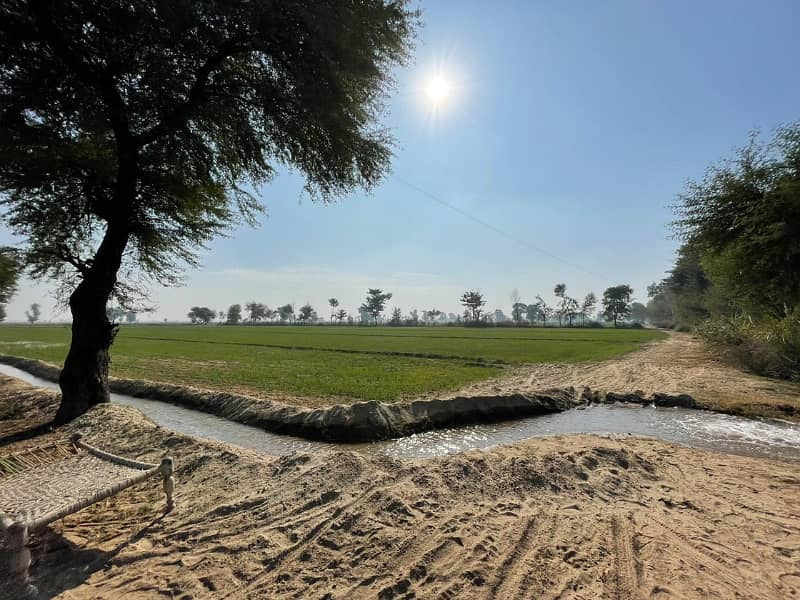 400 Kanal Agricultural Land Available For Sale In Haroonabad Bahawalnagar Road 6