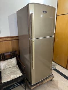 haier fridge refrigerator/freezer