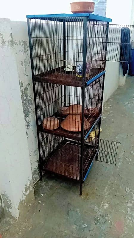 3 portion cage for sale 1