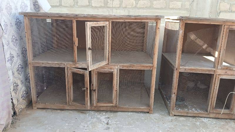 BirdsCage/ Hen Cage 1