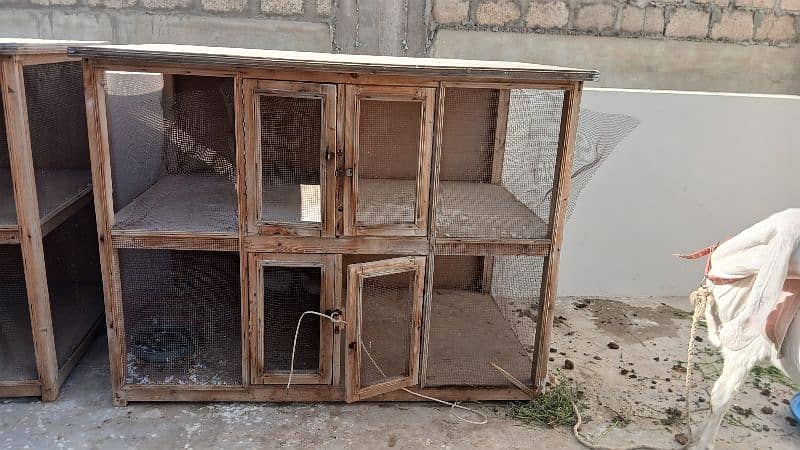 BirdsCage/ Hen Cage 4